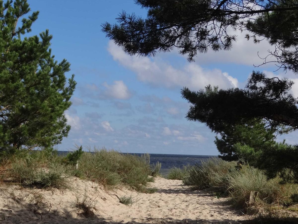 Fewo Fiete/SCHÖ Trassenheide Exterior foto